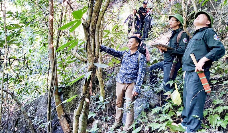 Bảo tồn đa dạng sinh học Khu dự trữ thiên nhiên Thần Sa-Phượng Hoàng