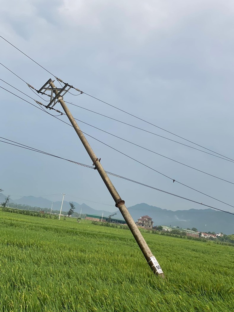 Phú Thọ: Mưa lớn làm 243 nhà bị tốc mái, 1.300 ha lúa ngô bị thiệt hại