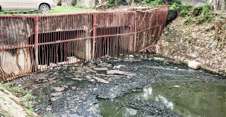 Cá chết nhiều tại hồ Xương Rồng ở Thái Nguyên