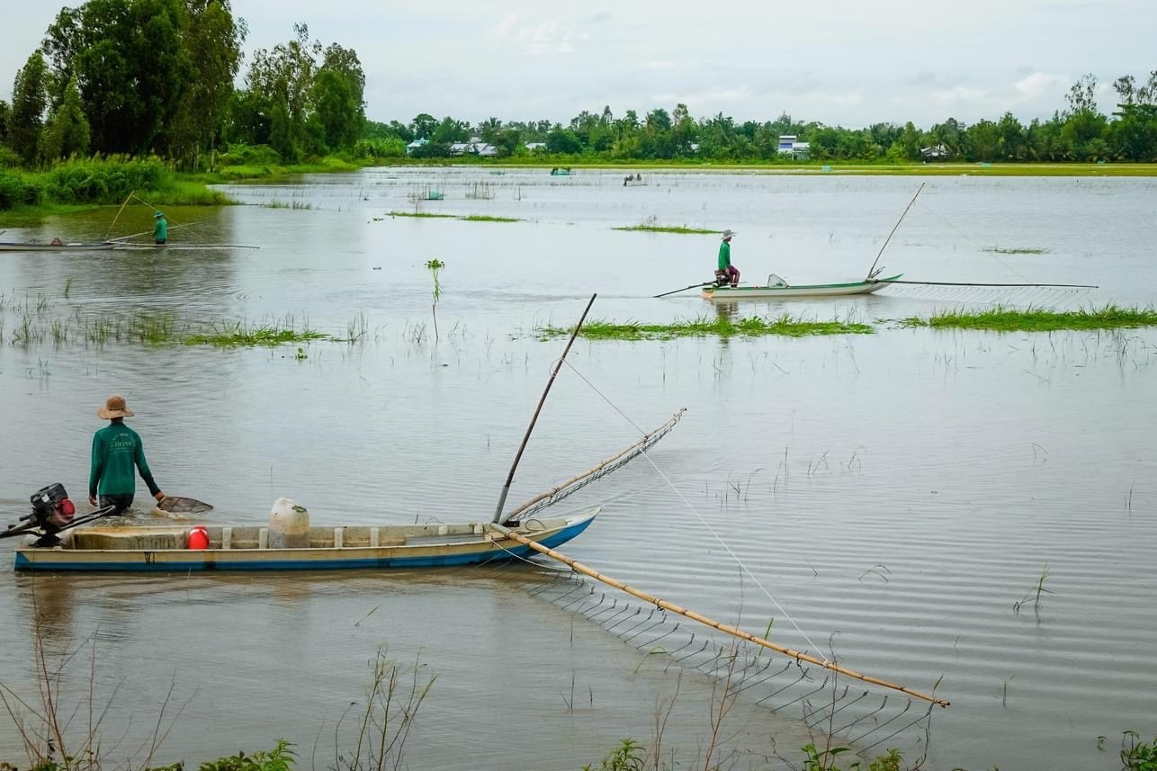 Mực nước sông Mê Kông cải thiện, nhiều thủy điện hạ lưu đầy hồ chứa