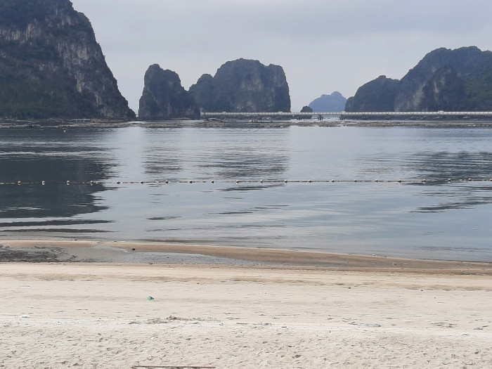 Chợ cá gây ô nhiễm, uy hiếp nơi neo, đậu tàu thuyền trên biển Quảng Ninh
