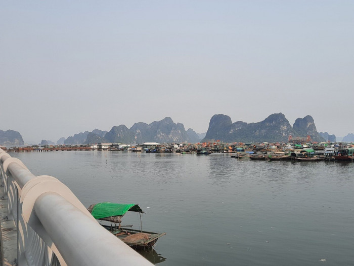 Chợ cá gây ô nhiễm, uy hiếp nơi neo, đậu tàu thuyền trên biển Quảng Ninh