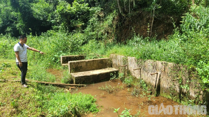 Trang trại heo không phép xả thải, dân làng khốn khổ vì nước ô nhiễm