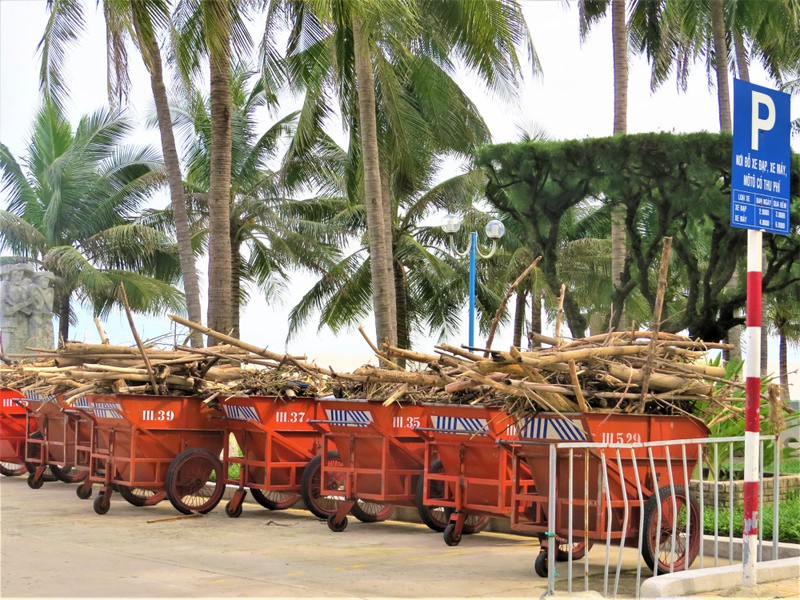 Hàng trăm đoàn viên công an, biên phòng... làm đẹp bờ biển Nha Trang