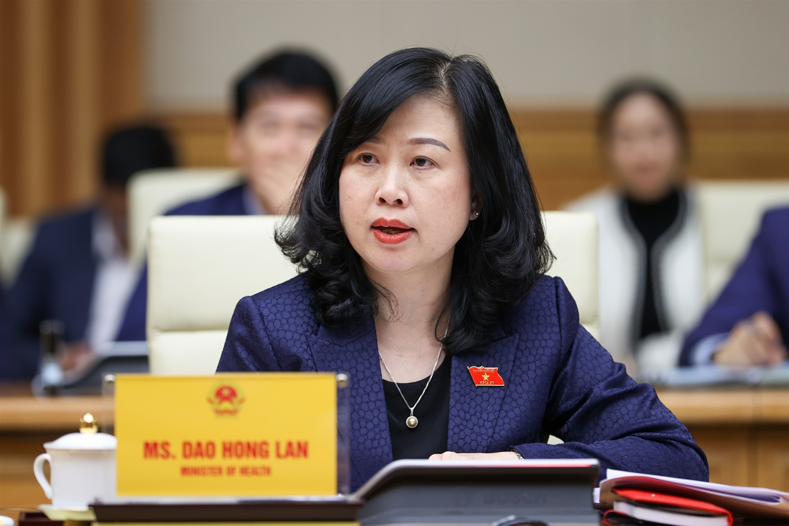 Thủ tướng Phạm Minh Chính tiếp đại diện 60 tập đoàn hàng đầu của Hoa Kỳ