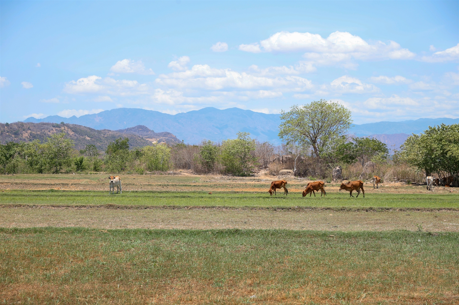Thủ tướng khảo sát thực tế, thăm hỏi người dân tại tỉnh khô hạn nhất cả nước