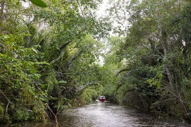 Thủ tướng khảo sát khu bảo tồn thiên nhiên độc đáo hàng đầu tại ĐBSCL