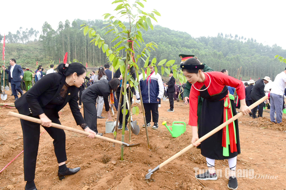 Đồng chí Võ Văn Thưởng, Ủy viên Bộ Chính trị, Chủ tịch nước dự Lễ phát động Tết trồng cây Xuân Giáp Thìn 2024 tại Tuyên Quang