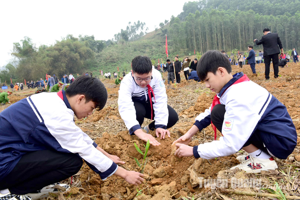 Đồng chí Võ Văn Thưởng, Ủy viên Bộ Chính trị, Chủ tịch nước dự Lễ phát động Tết trồng cây Xuân Giáp Thìn 2024 tại Tuyên Quang