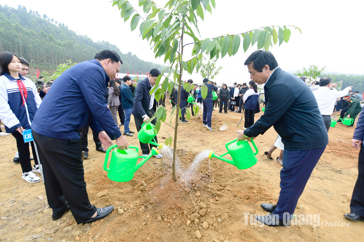 Đồng chí Võ Văn Thưởng, Ủy viên Bộ Chính trị, Chủ tịch nước dự Lễ phát động Tết trồng cây Xuân Giáp Thìn 2024 tại Tuyên Quang