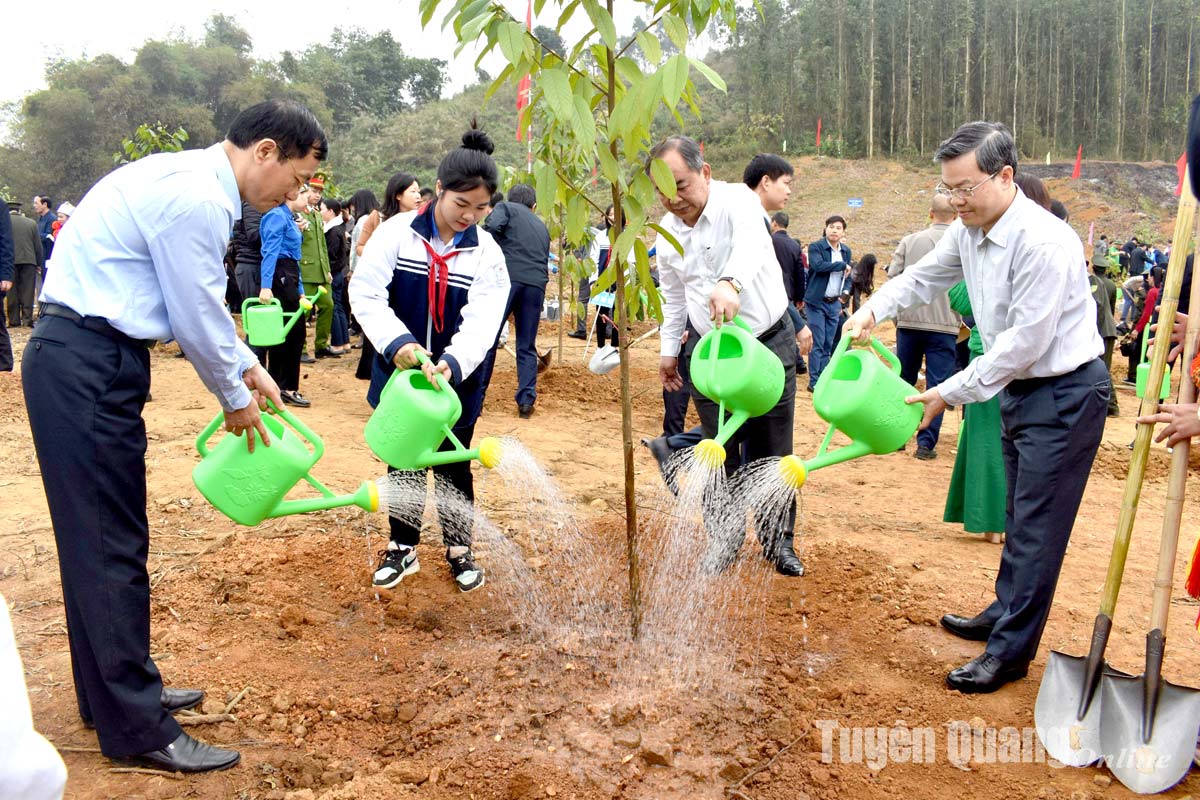 Đồng chí Võ Văn Thưởng, Ủy viên Bộ Chính trị, Chủ tịch nước dự Lễ phát động Tết trồng cây Xuân Giáp Thìn 2024 tại Tuyên Quang