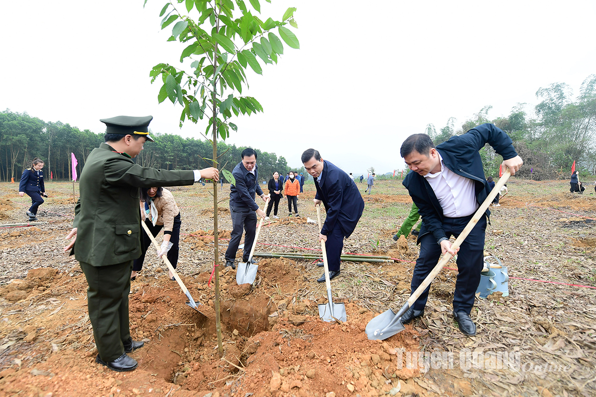 Đồng chí Võ Văn Thưởng, Ủy viên Bộ Chính trị, Chủ tịch nước dự Lễ phát động Tết trồng cây Xuân Giáp Thìn 2024 tại Tuyên Quang