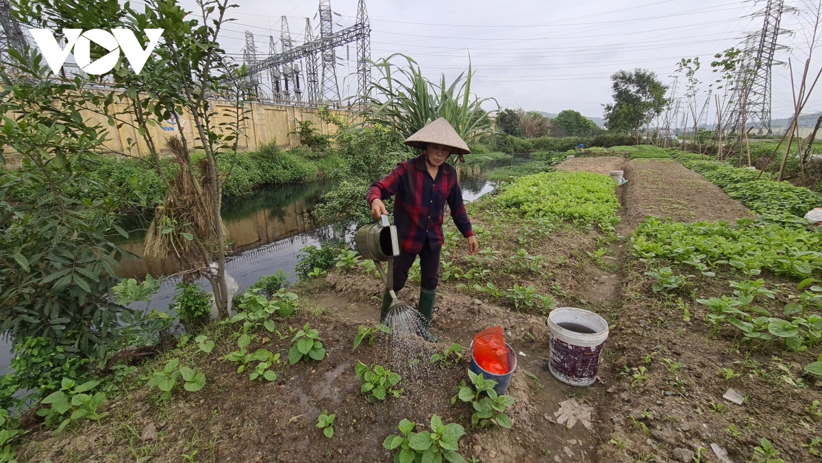 Nước tưới tiêu cạnh KCN ở Bắc Ninh ô nhiễm trầm trọng, người dân khốn khổ kêu cứu