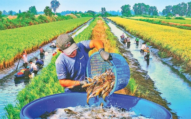 Phòng, chống hiện tượng thời tiết cực đoan do biến đổi khí hậu