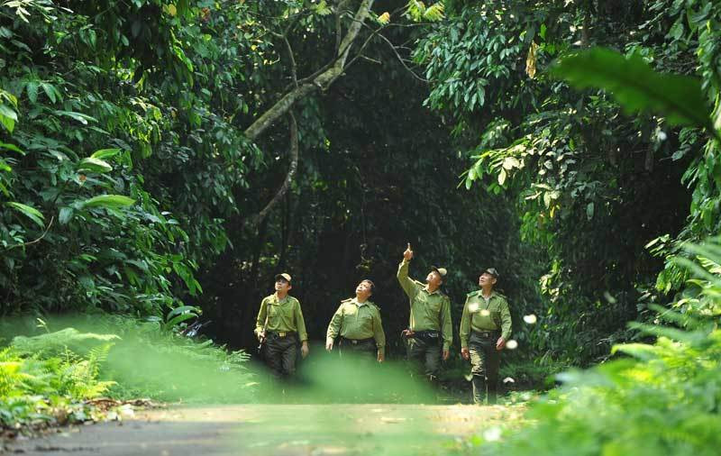 Còn dư 5,9 triệu tấn carbon, Bộ Nông nghiệp muốn thí điểm bán đấu giá