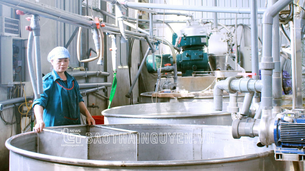 Gắn sản xuất với bảo vệ môi trường làng nghề