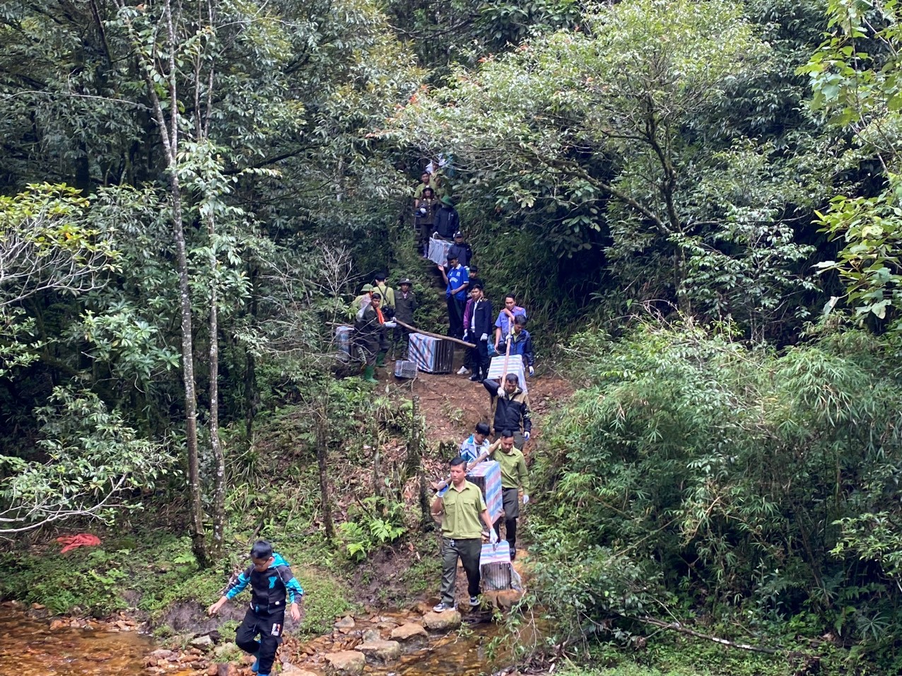 Lào Cai: Thả về rừng tự nhiên Sa Pa 49 cá thể chim, thú rừng quý hoang dã sau cứu hộ