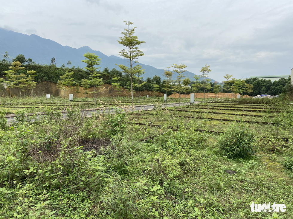Tách thửa, phân lô đất nông thôn rồi để hoang phế ở ngoại thành Hà Nội