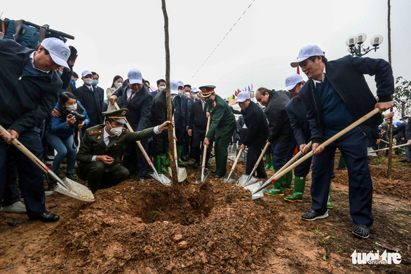 Chủ tịch nước đánh trống phát động Tết trồng cây xuân Nhâm Dần