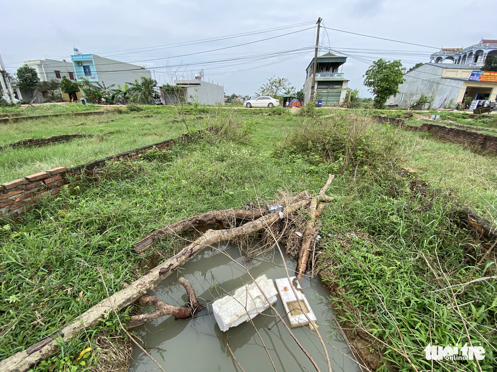Tách thửa, phân lô đất nông thôn rồi để hoang phế ở ngoại thành Hà Nội