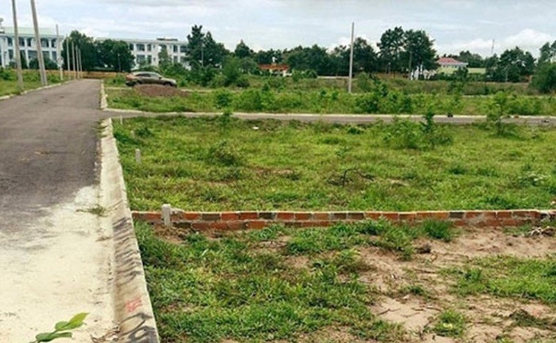 Chuyển mục đích sử dụng đất để thực hiện Dự án Cụm công nghiệp Đông Quang