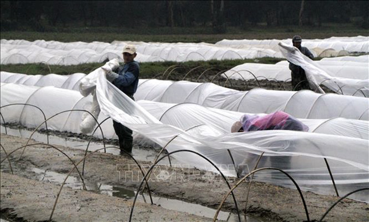 Thời tiết ngày 4/1: Từ Quảng Bình đến Khánh Hòa cục bộ có mưa to