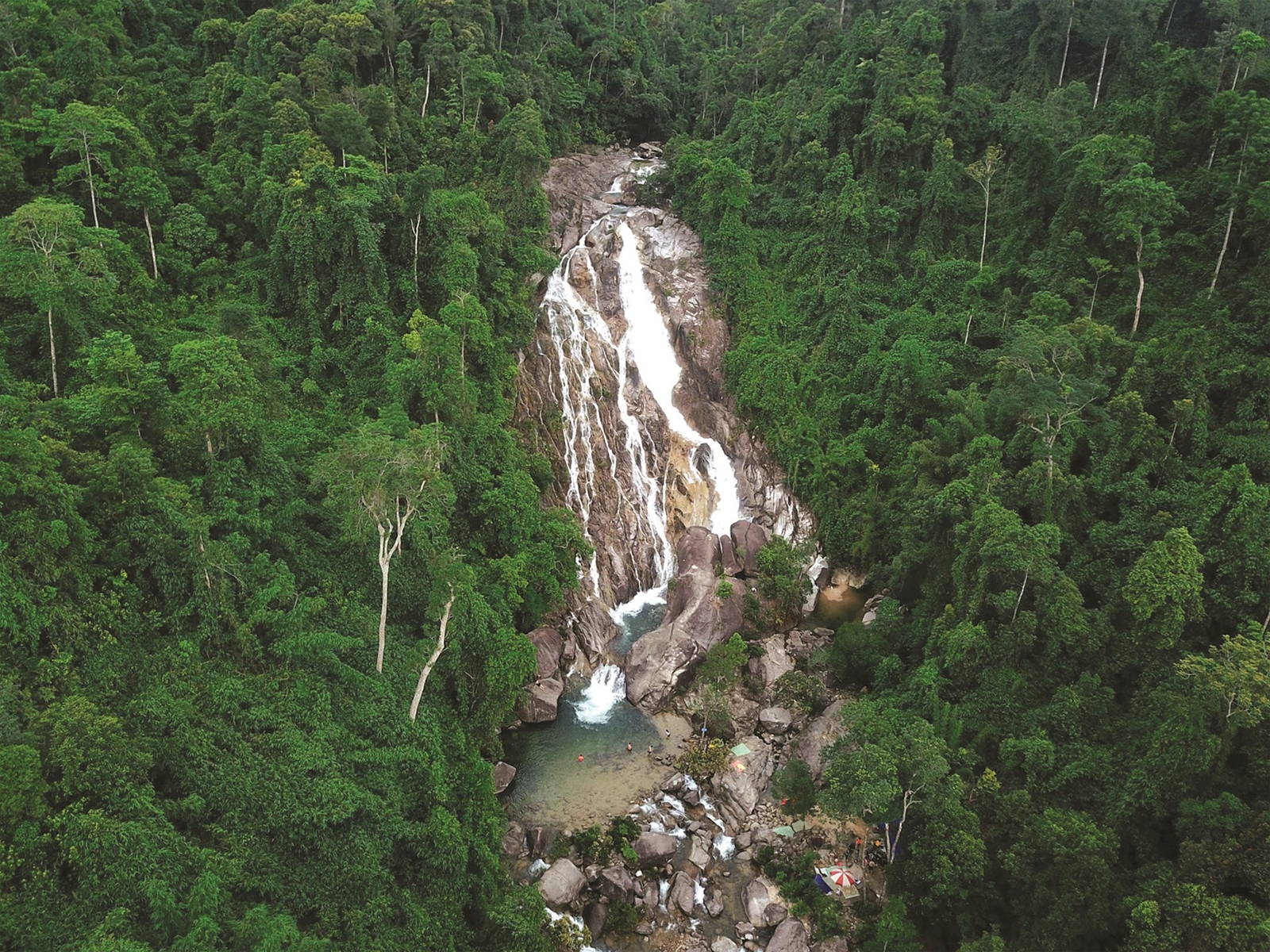 Khai mỏ vàng xanh