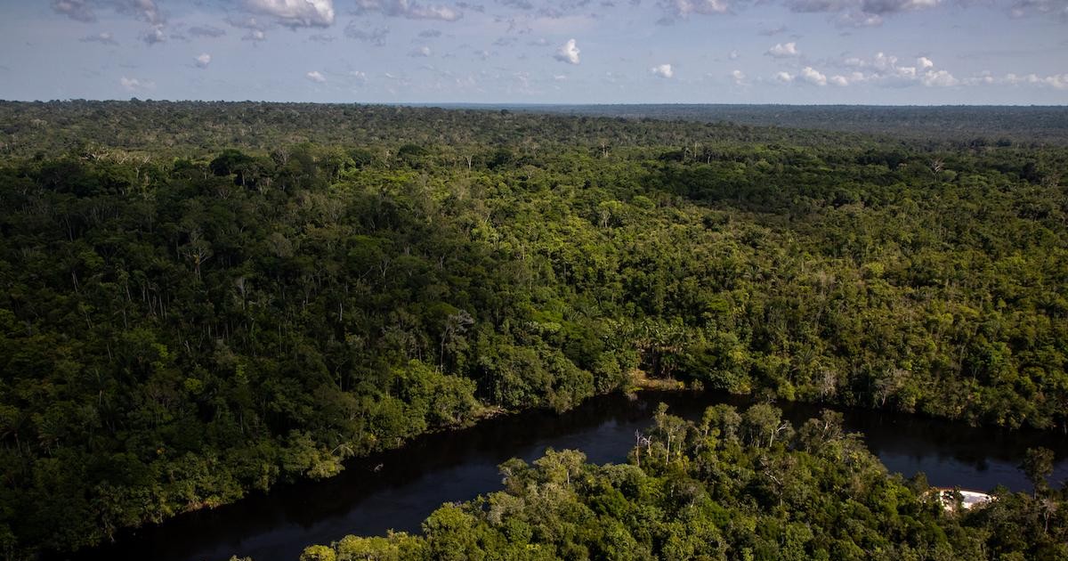 Mỹ Latin và Caribe chung tay bảo vệ môi trường