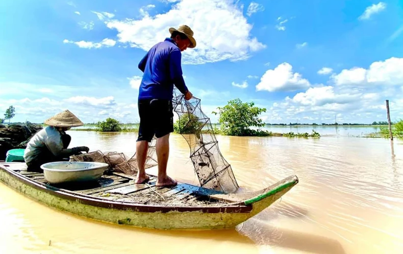 Miền Tây ngóng lũ