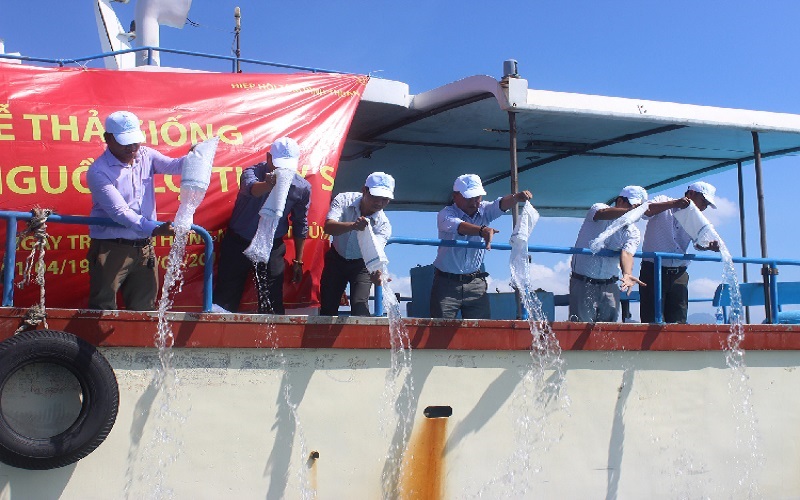 Thả giống ra biển, tái tạo nguồn lợi dưới đáy đại dương