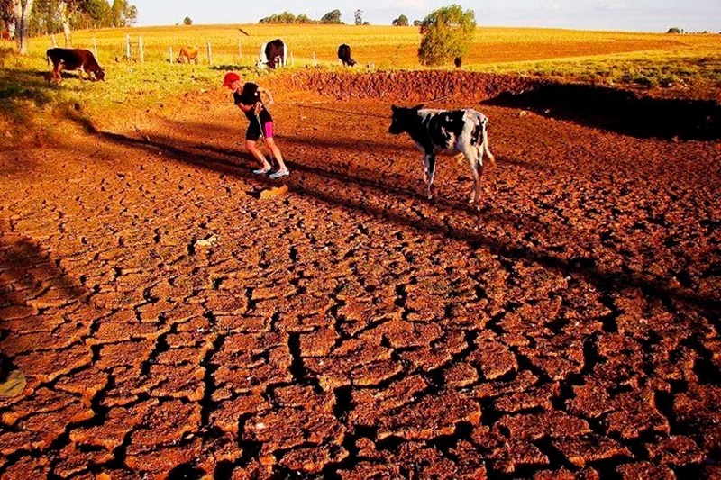 Châu Mỹ, một mùa hè đỏ lửa