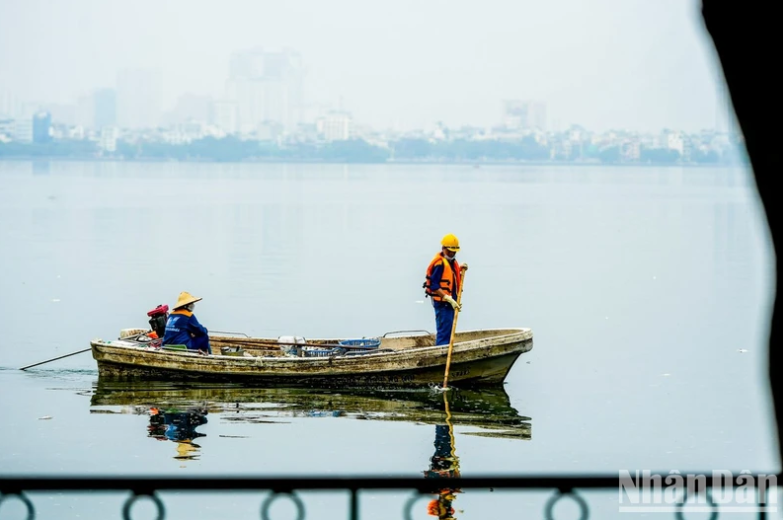 Xác định nguyên nhân sơ bộ hiện tượng cá chết tại hồ Tây