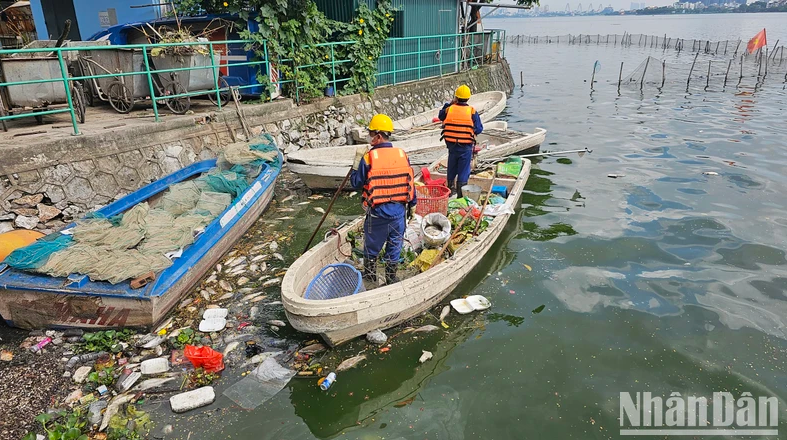 Xác định nguyên nhân sơ bộ hiện tượng cá chết tại hồ Tây