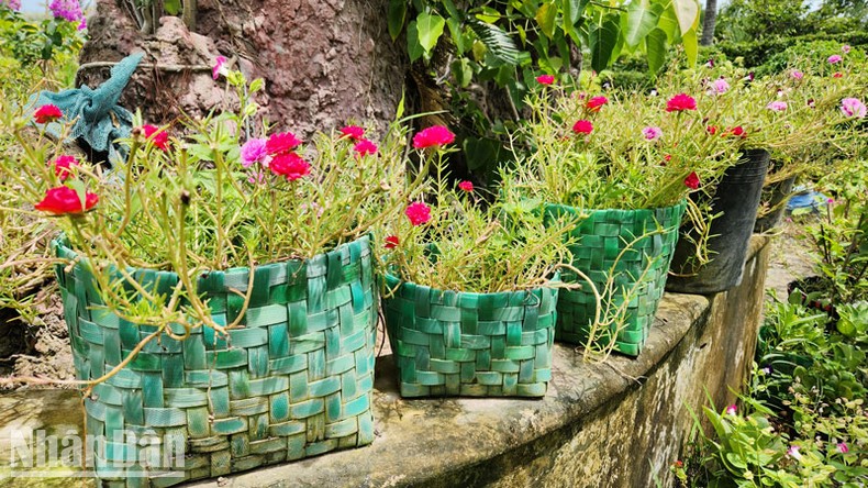 Lão nông ở Kiên Giang tái chế rác nhựa thành vật dụng hữu ích