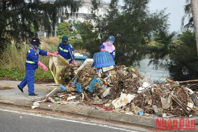 Đà Nẵng tăng cường xử lý ô nhiễm môi trường tại âu thuyền và cảng cá Thọ Quang