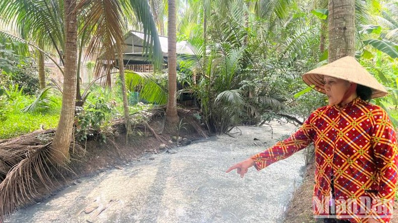 Cần sớm khắc phục tình trạng ô nhiễm môi trường từ sản xuất thạch dừa