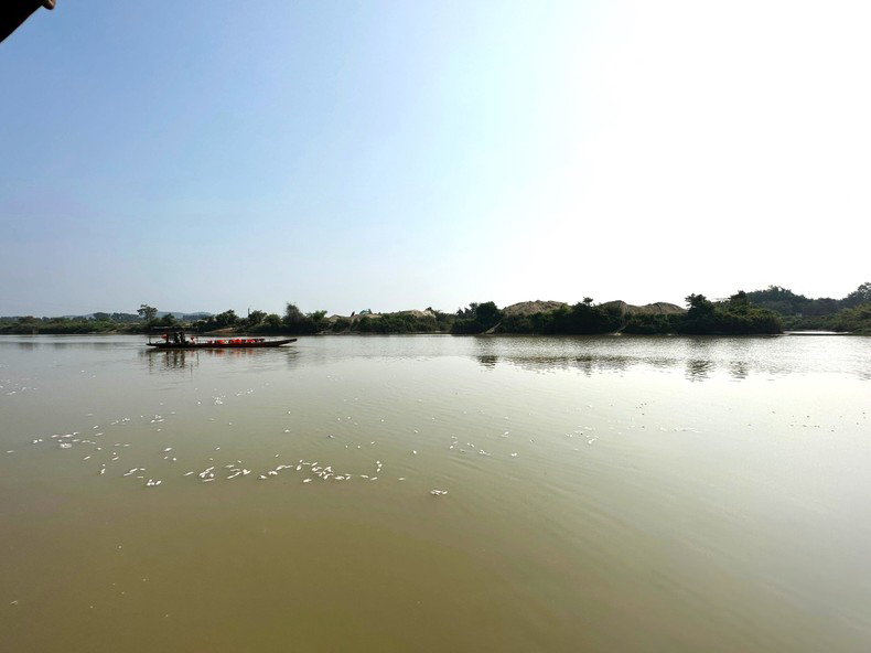 Hàng chục tấn cá nuôi trong lồng, bè trên sông Sêrêpốk chết bất thường
