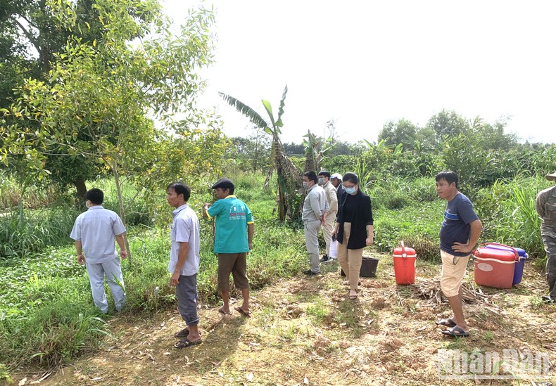 Chủ trang trại chăn nuôi lợn xây dựng và vận hành hệ thống xử lý nước thải chưa đúng quy trình