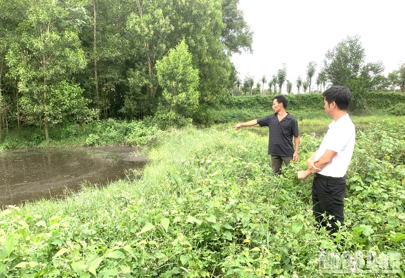 Chủ trang trại chăn nuôi lợn xây dựng và vận hành hệ thống xử lý nước thải chưa đúng quy trình