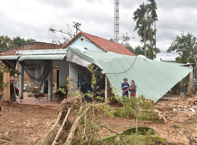 Chủ tịch nước kiểm tra công tác khắc phục thiệt hại do bão số 5 và mưa lũ lịch sử tại TP. Đà Nẵng