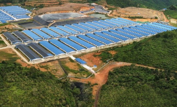 Nhiều tổ chức, cá nhân tại Đắk Nông bị xử phạt về lĩnh vực tài nguyên và môi trường