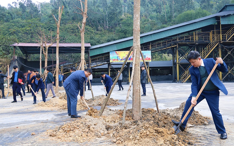 Công ty than Mạo Khê - TKV:  Bảo vệ môi trường để phát triển bền vững