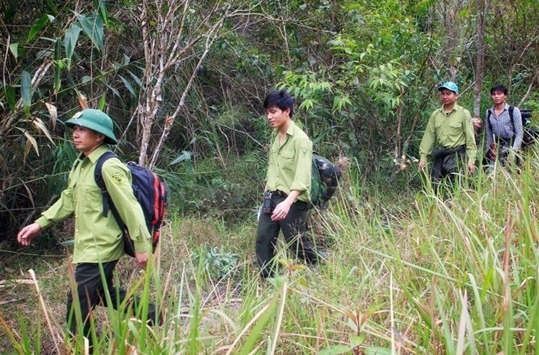 Nghệ An: Chỉ đạo thực hiện chi trả giảm phát thải nhà kính vùng Bắc Trung bộ