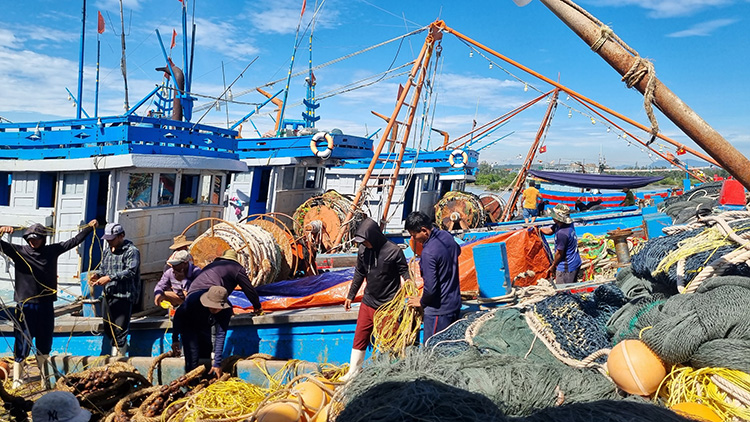 Khai thác bất hợp pháp: Mối đe dọa đến đa dạng sinh học biển và môi trường