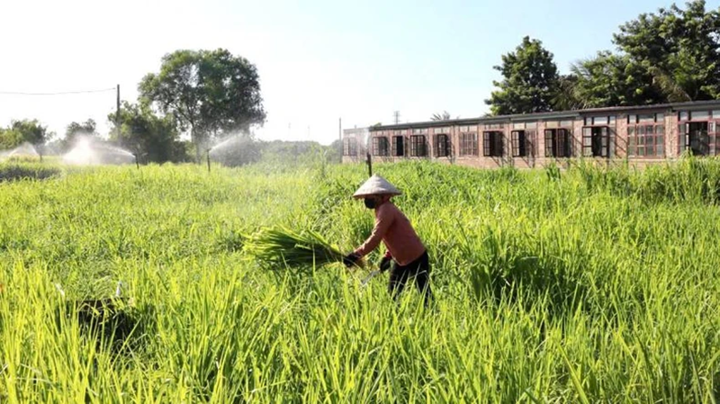 Đề xuất các giải pháp giảm phát thải khí nhà kính trong nông nghiệp