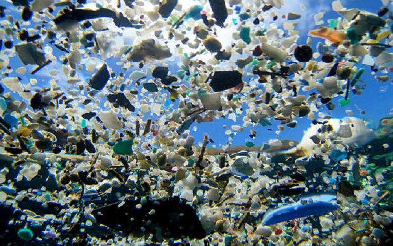 WWF và Plastic Free Foundation kêu gọi chính phủ các nước cùng nhau xây dựng một hiệp ước về quản lý nhựa