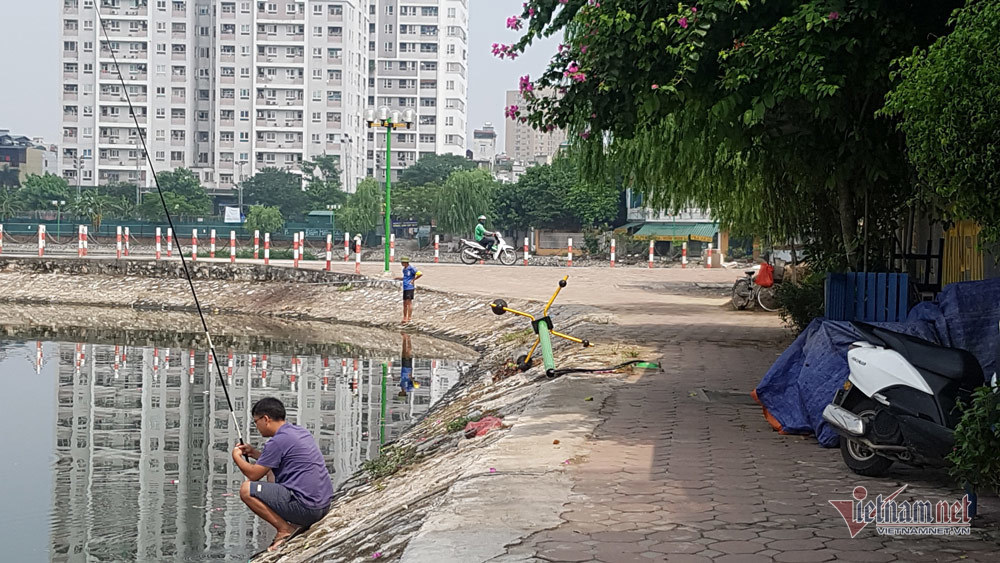 Những 'lá phổi xanh' tự nhiên của Thủ đô sau khi được giải cứu