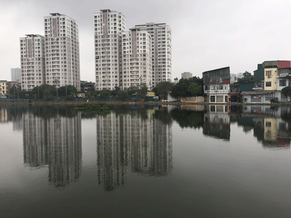 Những 'lá phổi xanh' tự nhiên của Thủ đô sau khi được giải cứu