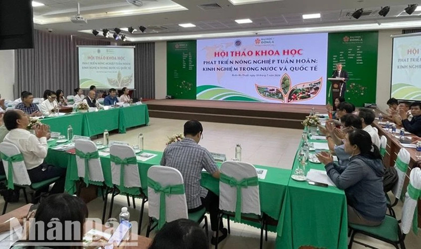 Thúc đẩy phát triển kinh tế nông nghiệp tuần hoàn ở Đắk Lắk