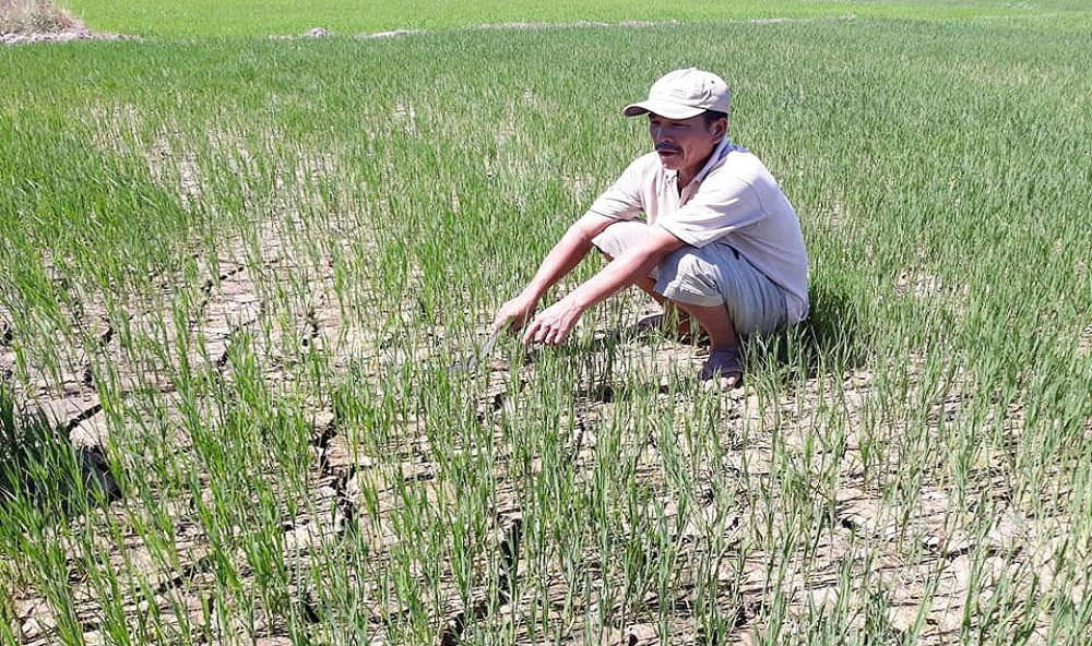 Một số giải pháp công tác phòng chống thiên tai, ứng phó biến đổi khí hậu tại Thừa Thiên Huế